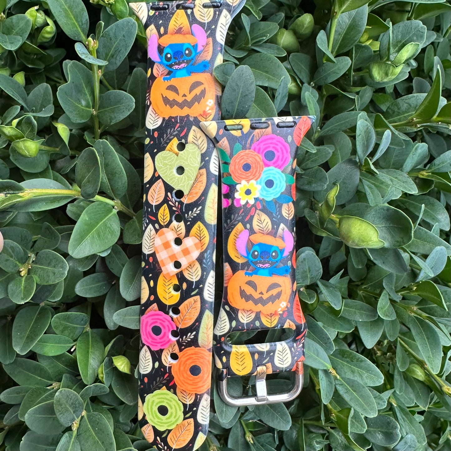 Fall with Ohana BAND ONLY