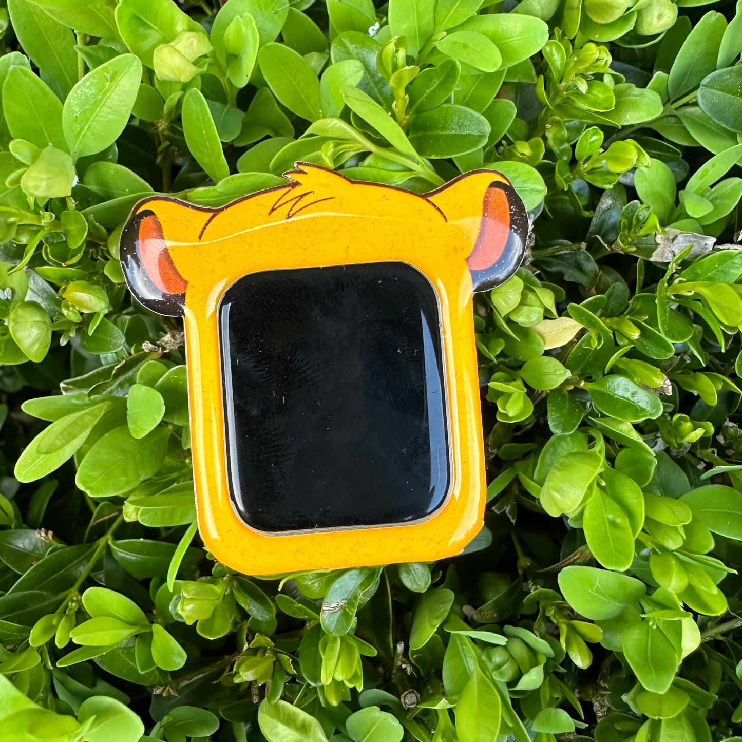 Lion Prince: WATCH COVER ONLY